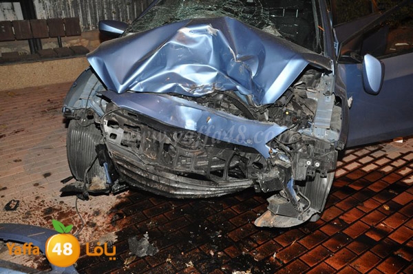 acc 7eshmona2em palmtree (15).JPG